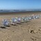 In the Breeze 2690 Snowflake Pinwheels - Holographic Mylar Spinners - Great Party Favor or Decoration - 8 Piece Bags